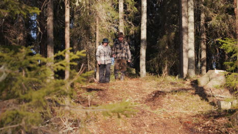 senior couple holding hands, strolling in pine forest with together with dog