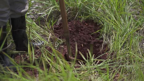 a person in boots digs brown, rich soil with a shovel surrounded by tall, green grass on a sunny afternoon