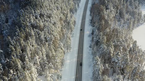 snow covered forest in a cold winter day - aerial shot