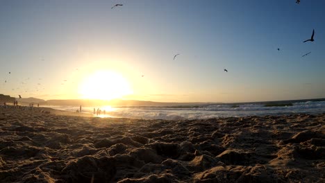 Hermosa-Puesta-De-Sol-En-La-Playa-Con-Aves-Marinas-Volando-Por-El-Cielo-Y-Siluetas-De-Personas-Divirtiéndose-En-El-Fondo