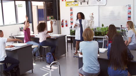 alumnos levantando las manos en una lección de ciencias de la escuela secundaria