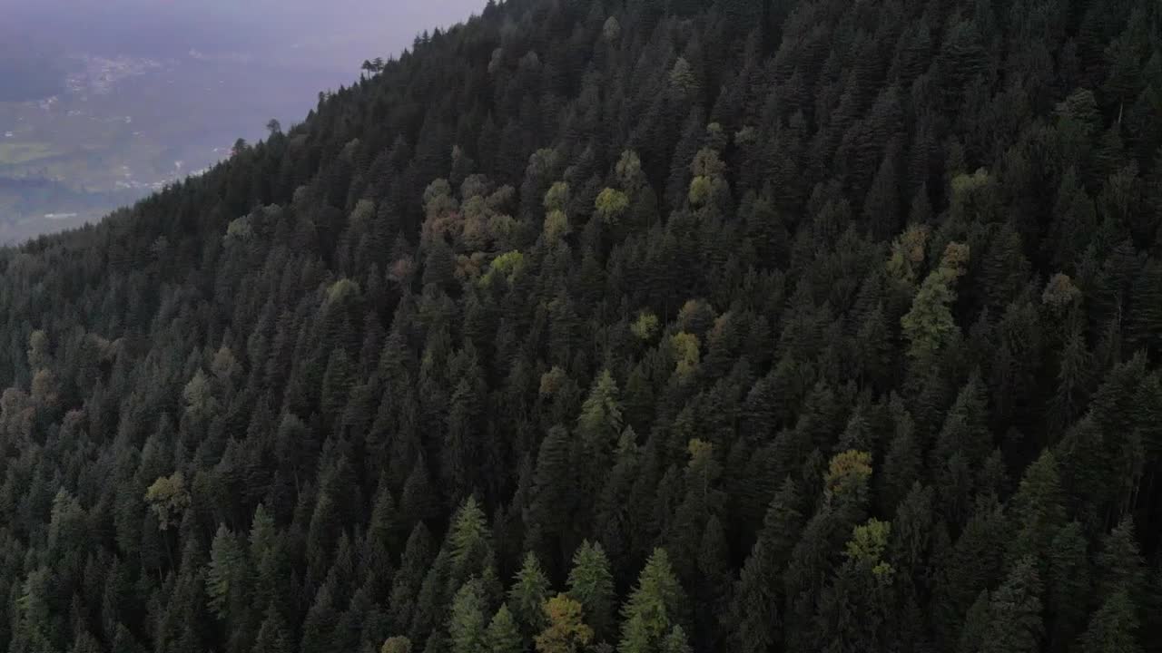 Vista aerea di boschi sul retro della città tra le montagne