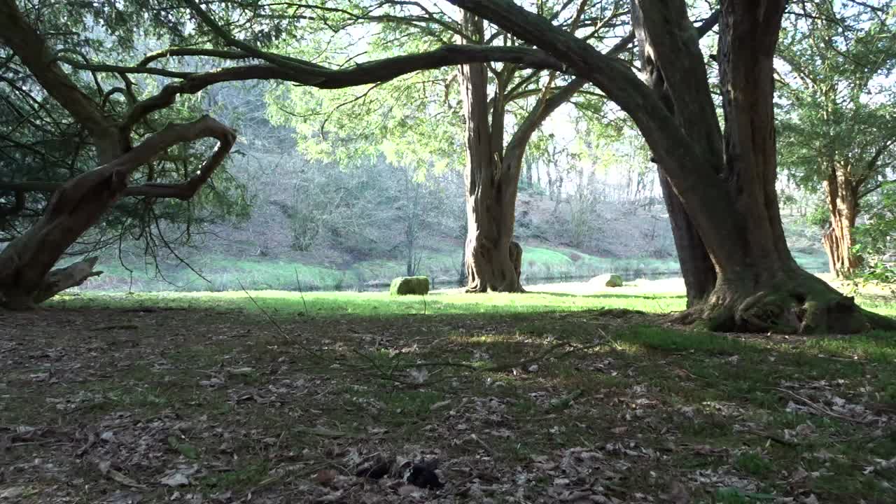 아름다운 lancashire 강과 시골 장면