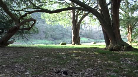 Schöne-Lancashire-Fluss--Und-Landschaftsszenen