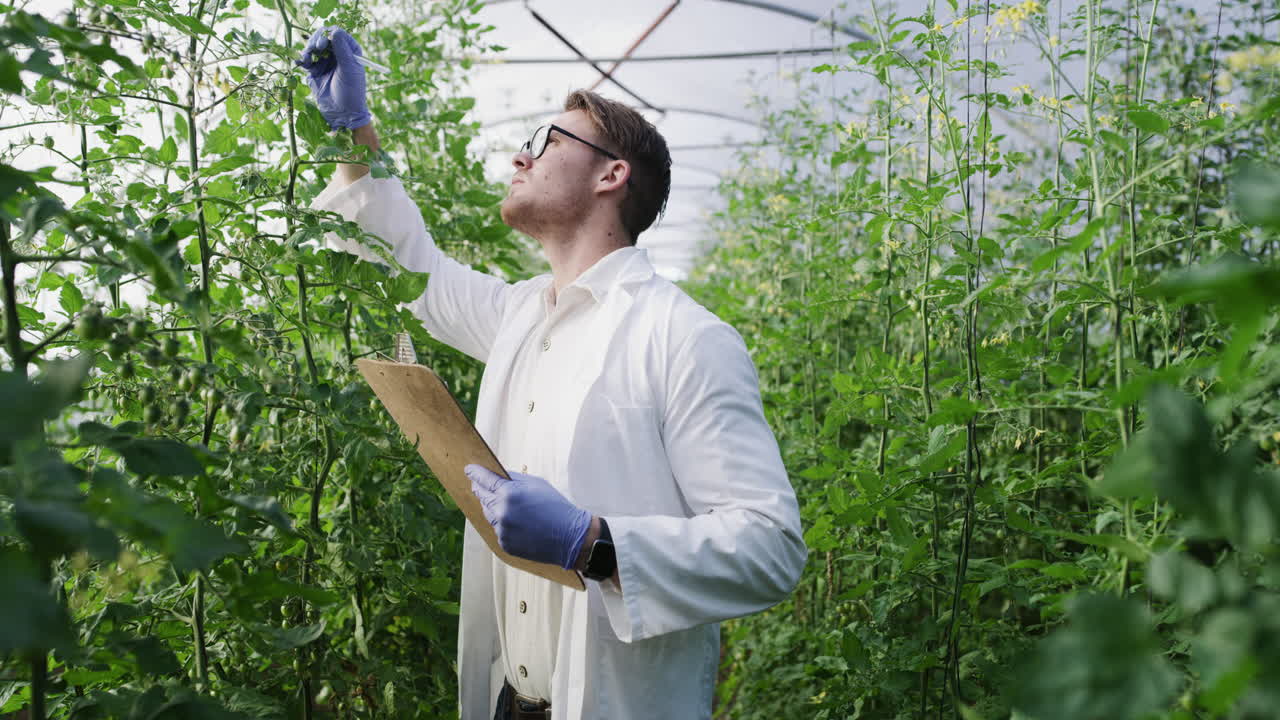 un guapo joven agricultor inspeccionando las plantas