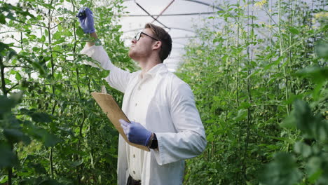 a handsome young farmer inspecting the plants