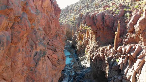 aerial cinematic shot going up inside a popular giant cactus canyon near san pedro de atacama in the atacama desert, northern chile, south america