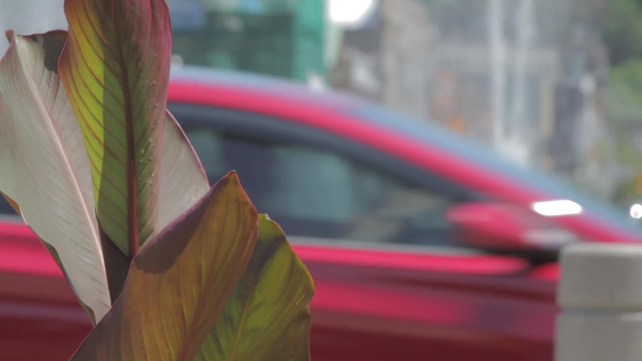 fuente de la ciudad en el fondo marcada por autos en movimiento