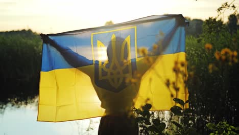 symbol of hope and peace as woman raises ukraine flag in golden hour light