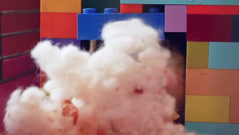 increíble hámster tímido se ha retirado a su casa de ladrillos de plástico multicolores. hámster djungarian de primer plano. hámster cierra su visón de ojos indiscretos