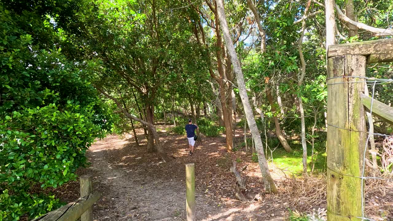 Individual enters forested park trail past warning signs, bright daylight, handheld camera, lush greenery