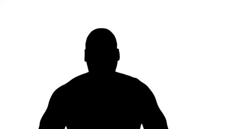 muscular silhouette of boxer posing for camera