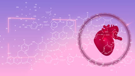 animation of chemical formulas over human heart mode and violet and pink background