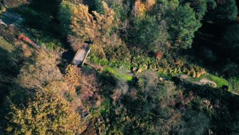 aerial view of a rural road with in yellow and orange autumn forest