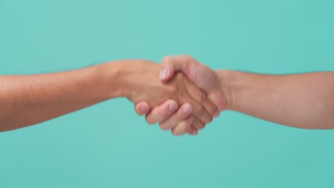 close up shot of human hand showing, with hand shaking gesture. two man making a handshake firmly for business and partnership with trust. seen in isolate blue screen in background.