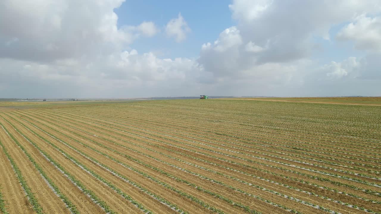 aerial shot of crops fields at sdot negev , israel state