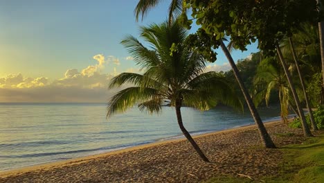 playa tropical desierta y tranquila al amanecer, con olas que lamen suavemente bajo un cielo azul y dorado con una costa bordeada de palmeras en las selvas tropicales del norte de queensland