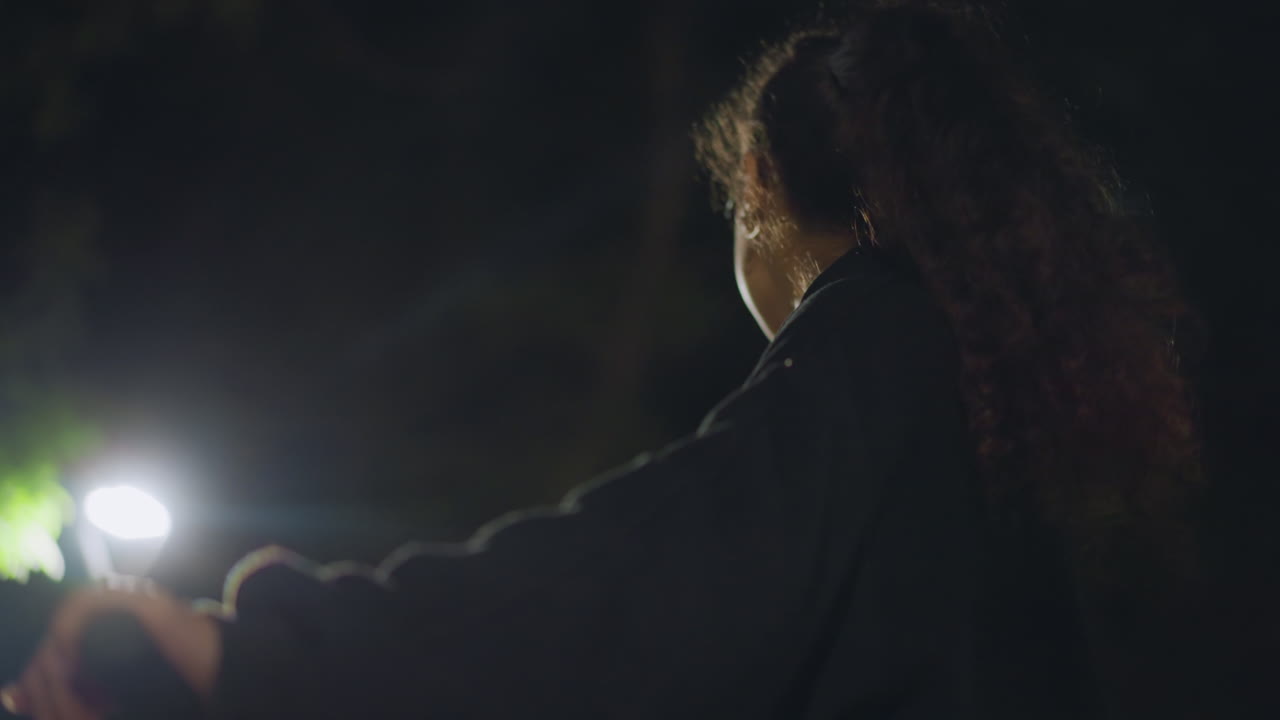 Night Cyclist Silhouette, Latina Rider Under Streetlamp, Profile View Of Cyclist Reflecting In Soft City Night Glow, Silhouette Of Latina On Bicycle Near Streetlight With Calm City Background