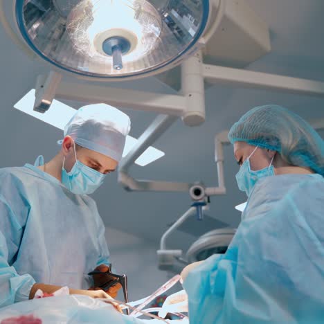 surgeons perform operation with medical instruments. doctor and a nurse in blue protective uniform doing surgery under the bright lamp in clinic.