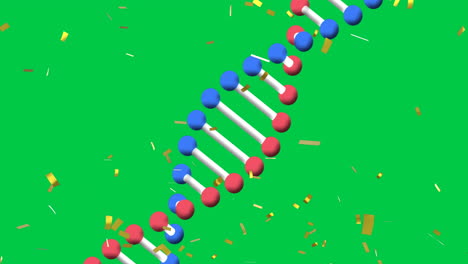 animation of confetti falling over dna strand spinning over green screen