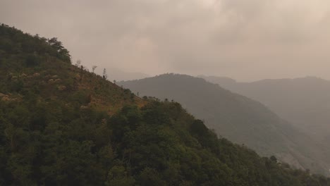 a serene view of foggy mountains covered in a vibrant green forest, creating a mystical atmosphere.