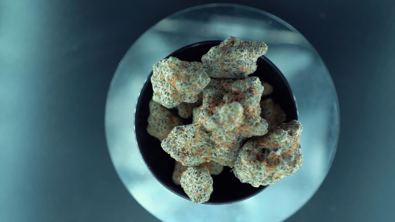 카나바 식물, 하이브리드 오렌지 품종, 인디카 유형, 녹색 대마초 꽃, 느린 동작 120fps, 스튜디오 led 조명, 반이는 회전 스탠드