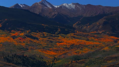mount snowmass capitol peak fall autumn sunny blue sky morning aerial drone aspen colorado white river national forest vibrant aspen trees snow dusting rocky mountain peaks forward pan up motion