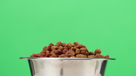 dried dog food in metal bowl close-up rotating. granules in dish on green background. feeding domestic animals, treats for puppies. crunchy meal for pedigree cats. pet shop and delivery