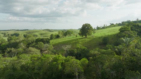 rolling green hills and scattered trees under a cloudy sky in florencia, colombia