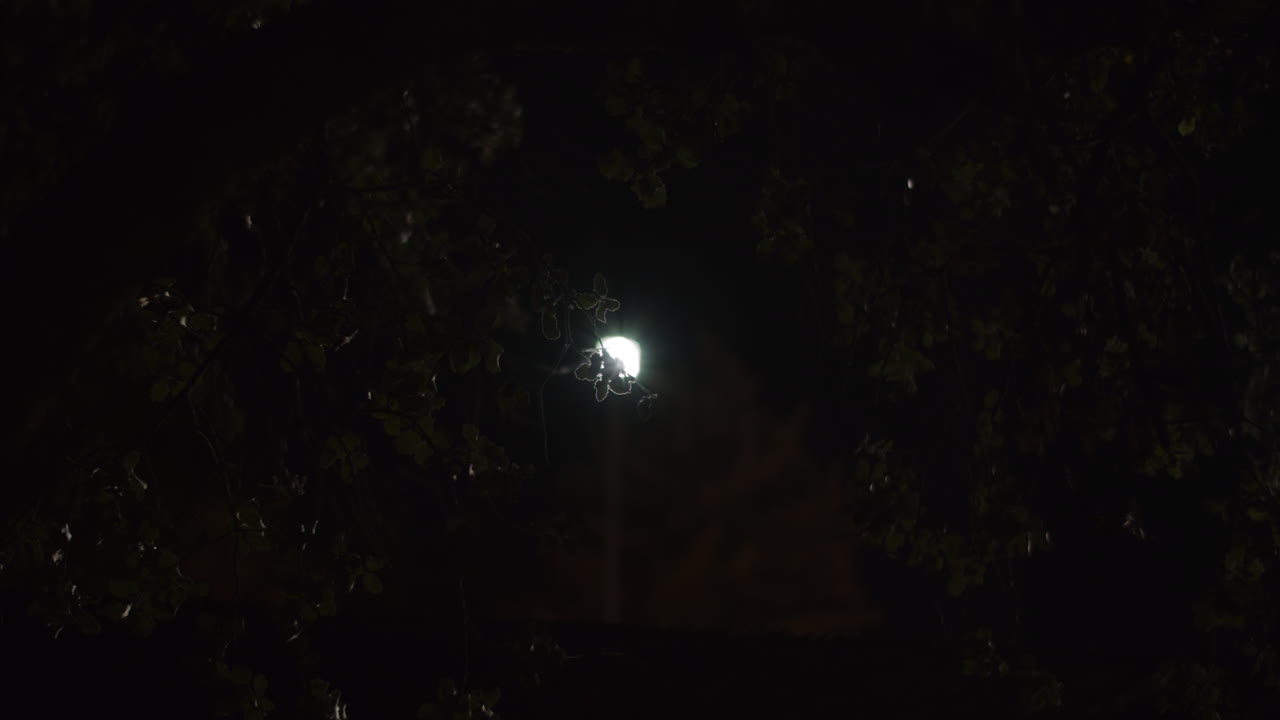 la linterna estropeada parpadeando por la noche 3