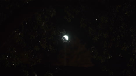 la linterna estropeada parpadeando por la noche 3