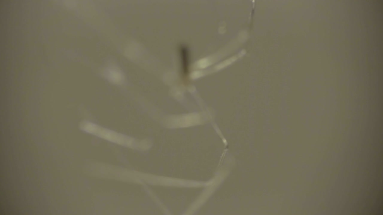 거미 가 그 그물 을 는 것 의 매크로 비디오