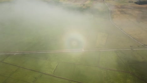 aerial rainbow halo over the green field.