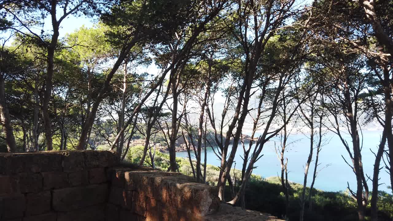 ruinas romanas en tipaza, argelia