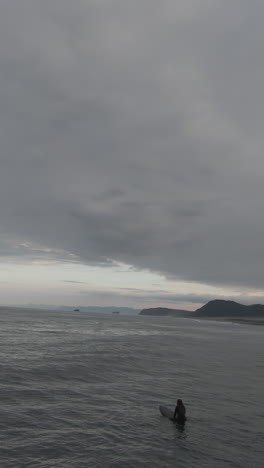 surfers in a grey, cloudy ocean landscape