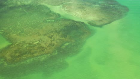 drone view of natural pools formed between coral reefs on rua porto beach in alagoas, brazil