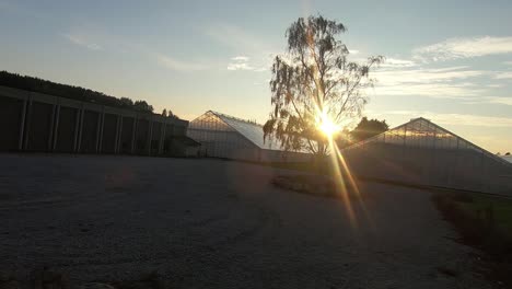 conduciendo por el campo