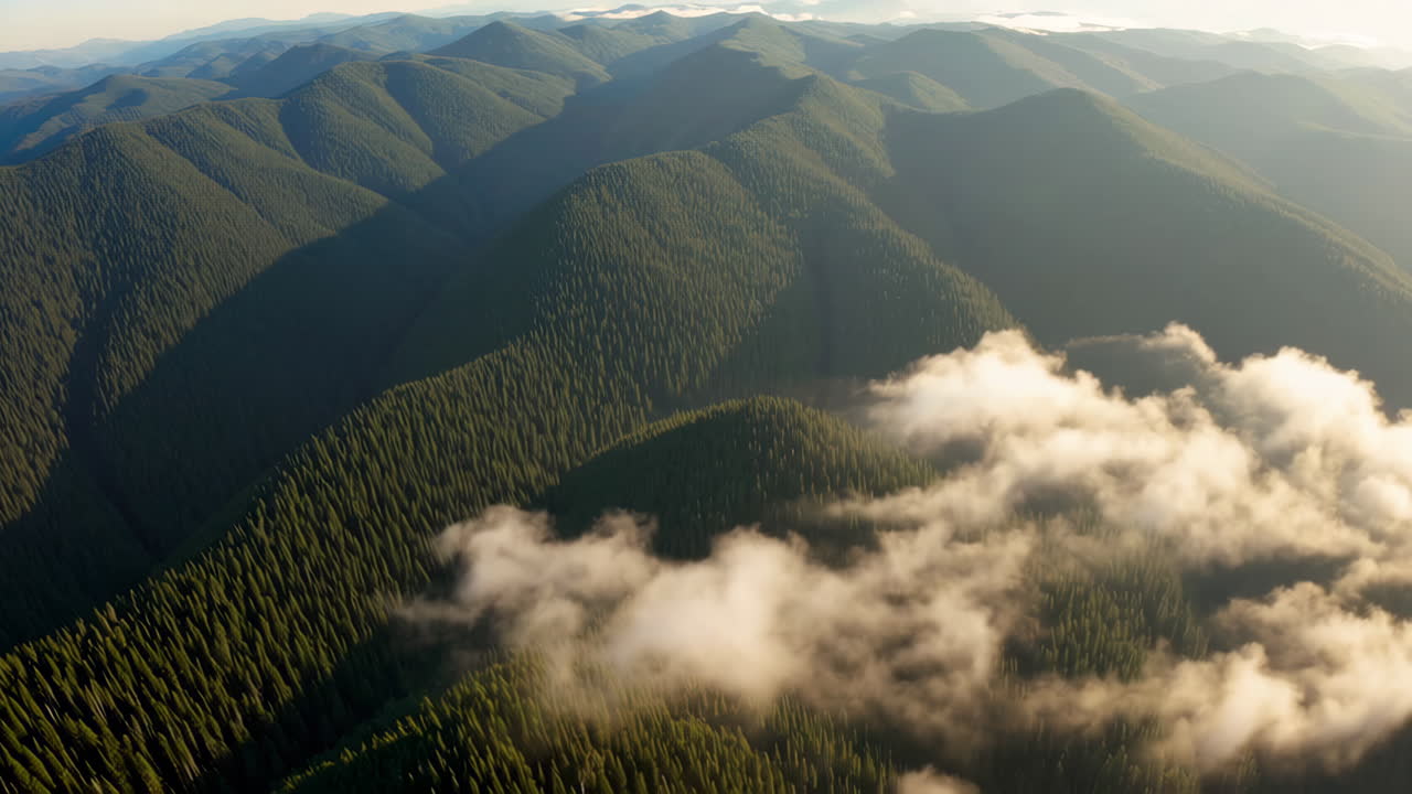vista aérea de la cordillera de la niebla