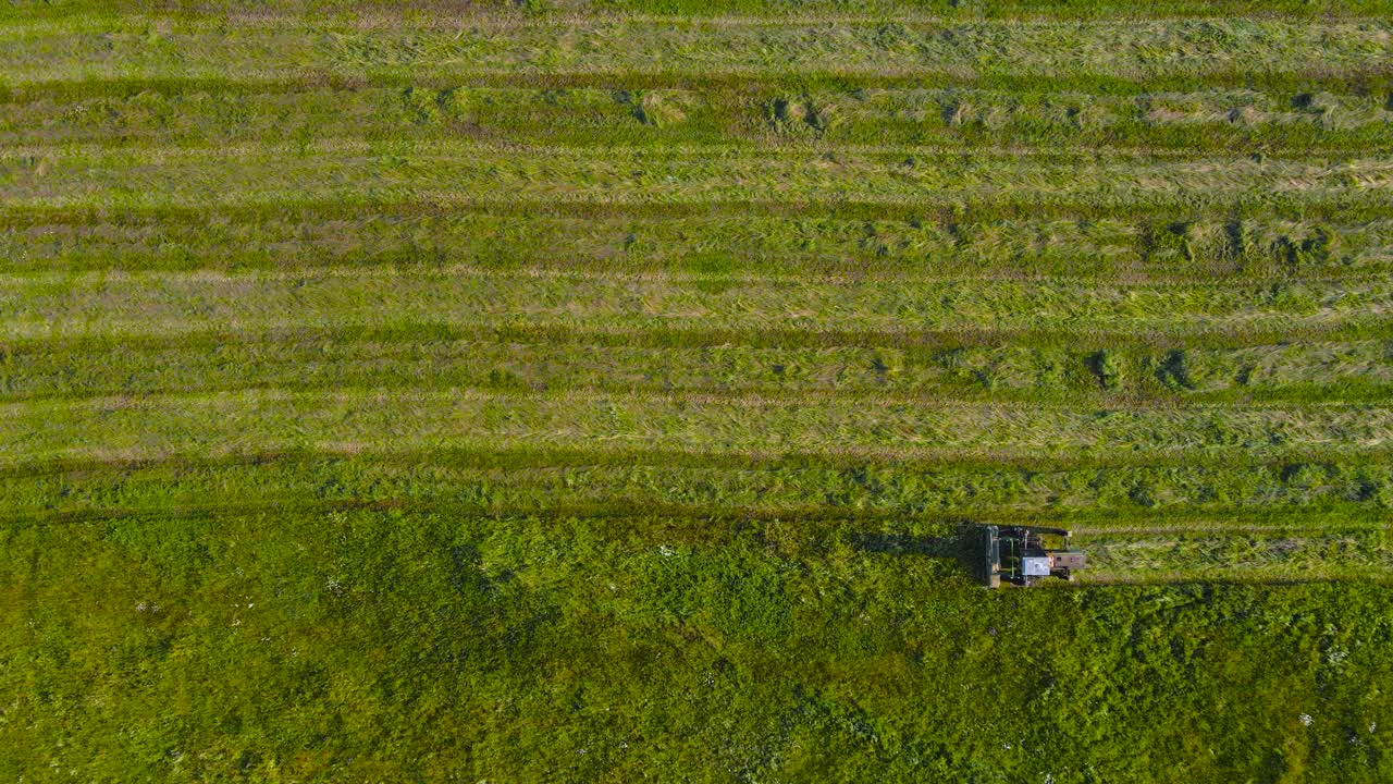 Top down aerial drone view of a tractor cutting and mowing reeds or hay on a grassy green and yellow farm field during a sunny day, preparations for hay bale making. Tractor moves from right to left