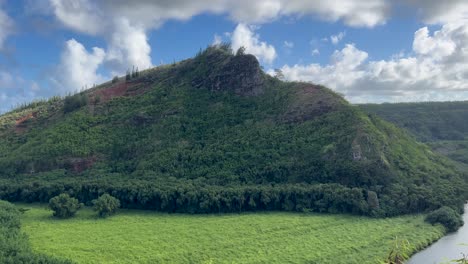 Pano-Del-Río-En-Kaui