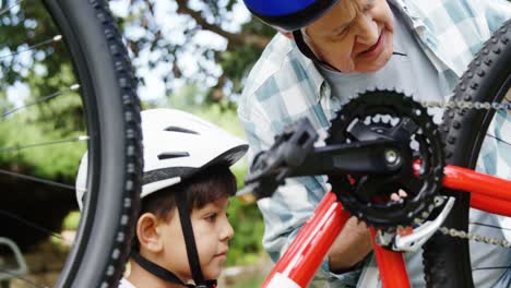 Grandfather-and-son-repairing-their-bicycle