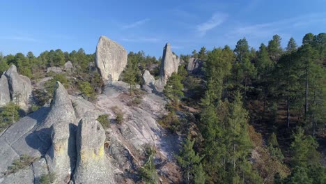 aerial shot of a madrone tree and rock formations in el valle de loss monies, copper canyon region, chihuahua