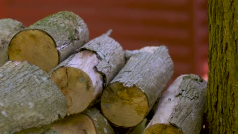 dolly shot of firewood rounds stacked in a wood pile outside a log cabin