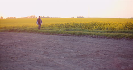 Farmer-Examining-Agricultural-Field-While-Working-On-Digital-Tablet-Computer-At-Farm-22