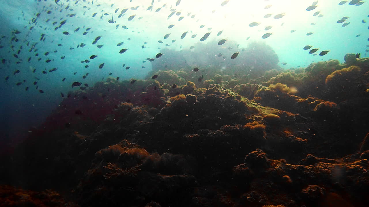 pasando por la vida una aventura a la vez