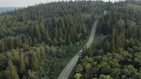 camioneta que conduce a través del paso de montaña con bosque de coníferas cerca de saskatchewan, canadá