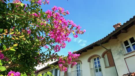 flores vibrantes contra el telón de fondo de un edificio italiano histórico