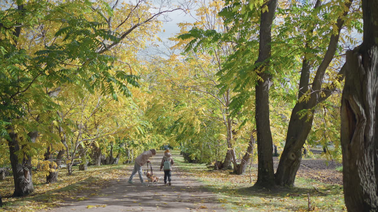 Mom and child walk dog along tranquil path lined with tall yellow leaved trees, engaging in playful interaction as dog trots cheerfully beside them on crisp autumn day in peaceful forest setting