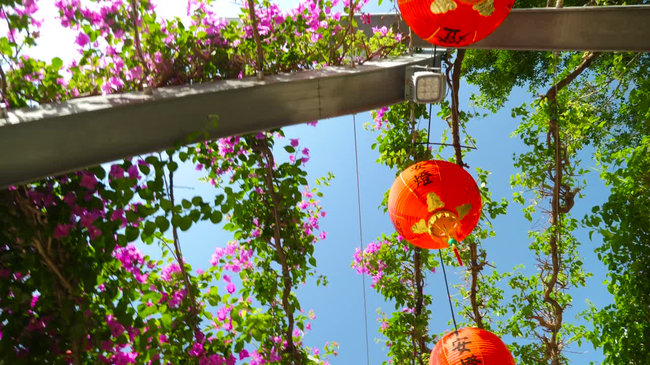 새해 축제 기간 동안 중국 등불