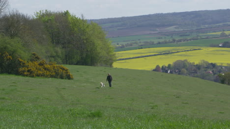 Un-Hombre-Maduro-Lleva-A-Su-Perro-A-Pasear-Por-El-Campo-Filmado-En-R3d